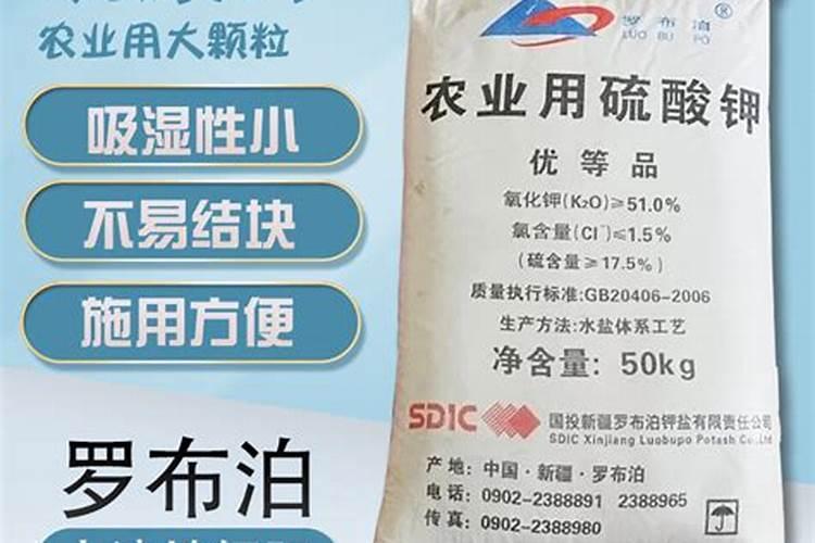 用什么肥料施橙子果子长大