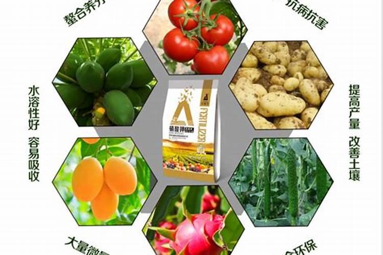 橙子要怎样施肥才会甜？