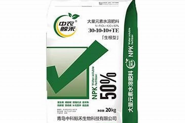 生姜施什么肥料最好