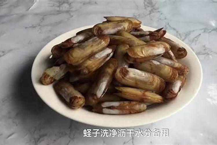 请教养兰高手用做君子兰肥料的(麻子)是蓖麻子吗