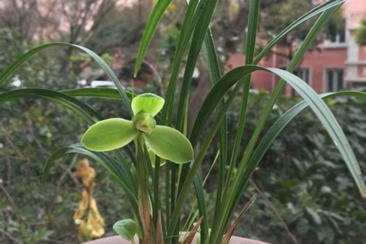 四字成语焚什么灰