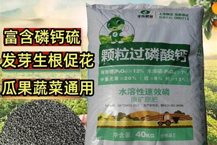 公园里的黄士种花如何施肥