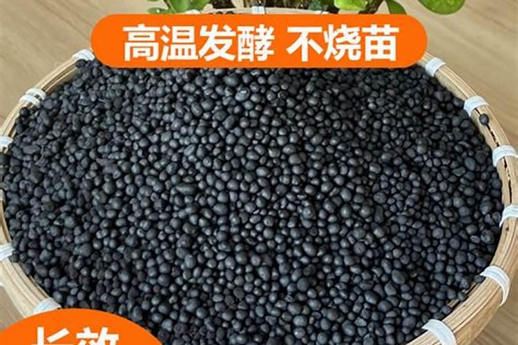 养花用什么肥料长得快给花施肥的方法