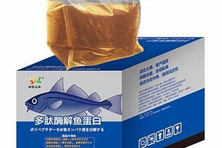 种植生姜一亩多少成本 利润有多少