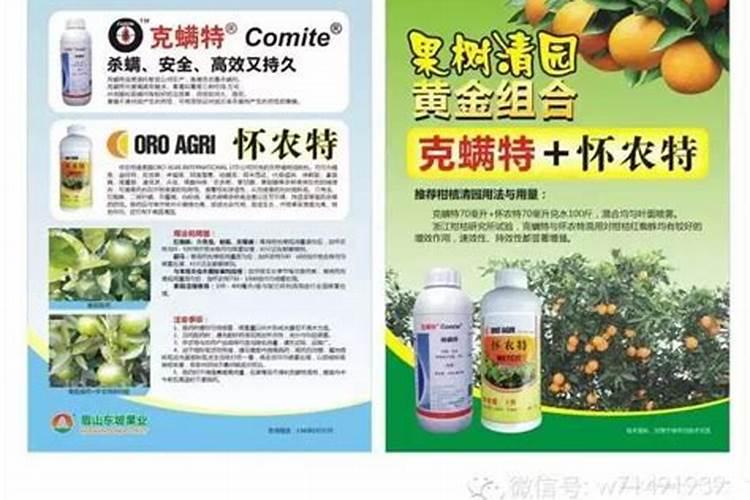 柑橘幼树冬季全方位管理,少一项白忙!