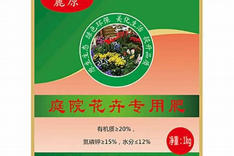 兰花品种哪个好养(最好养的兰花品种推荐)