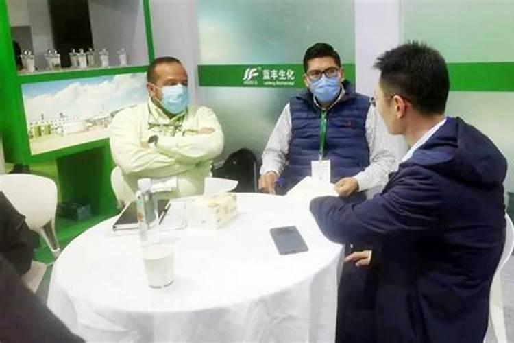 蓝莓是一根枝条还还是多根枝条好？