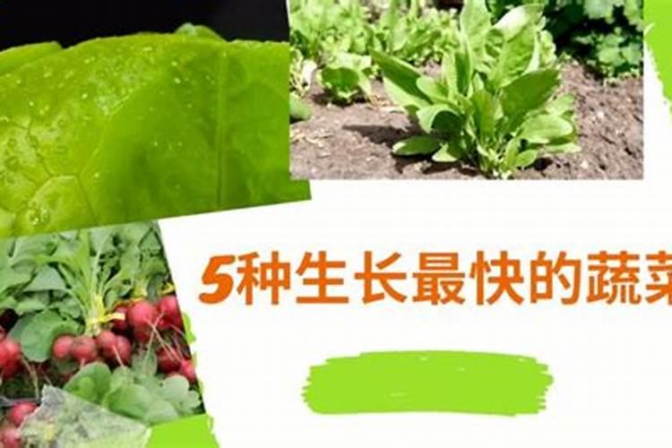 磷肥对植物的作用和用量 磷肥促进哪部分生长