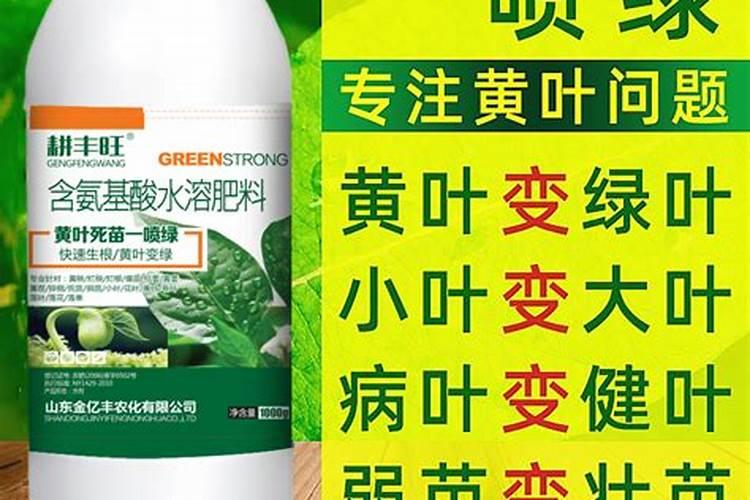 什么时候使用果树叶面肥效果最好 需要注意问题有