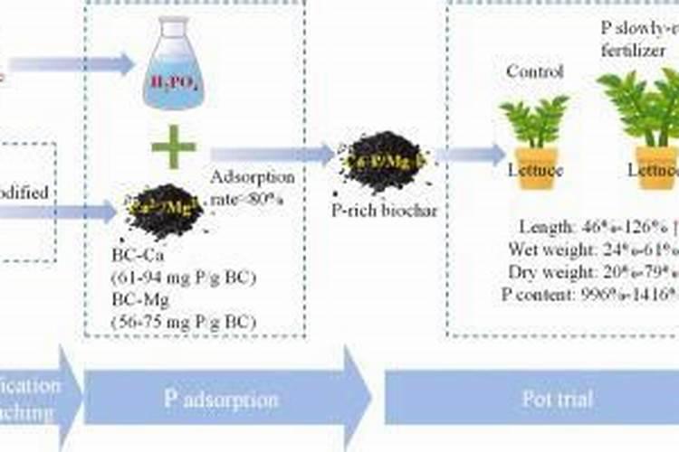 种小麦一会地用一包碳铵和一包磷肥可以吗？