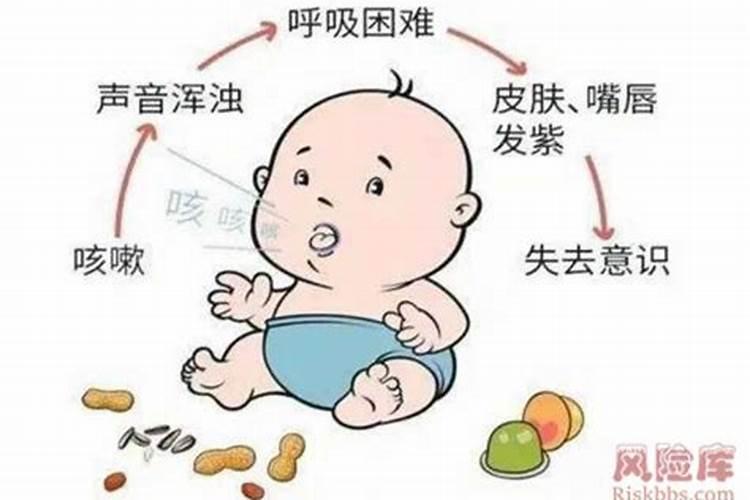 蝴蝶兰可施氮肥吗