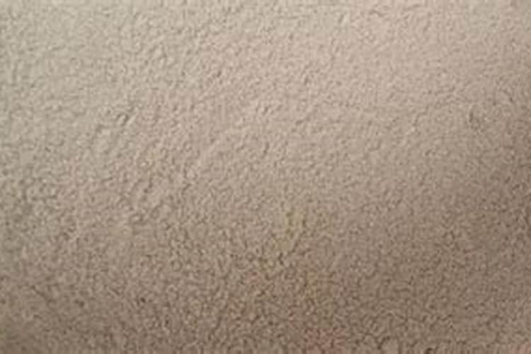 豆角早衰:原因分析与综合防治策略