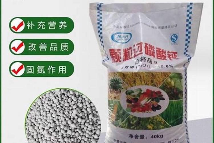 磷肥怎么施