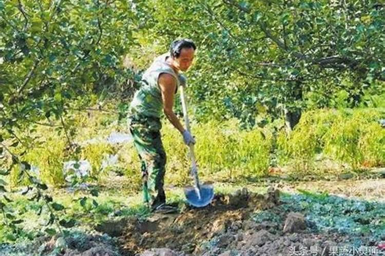 鱼塘放磷肥每亩用多少