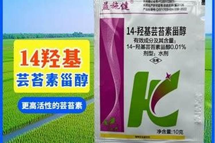 「每日一农经」怎么识别小麦细菌性条斑病？发生防治办法？