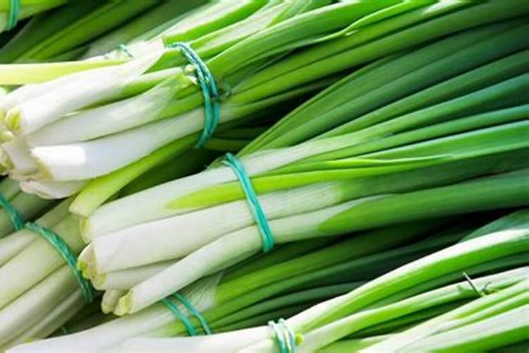 小葱追尿素烧根吗？