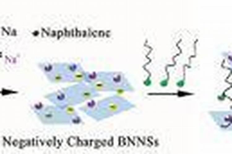 新型尿素都分为哪几种？分别都有什么特点？
