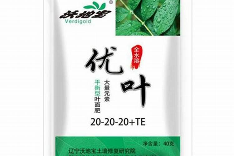 白扁豆的种植方法和时间