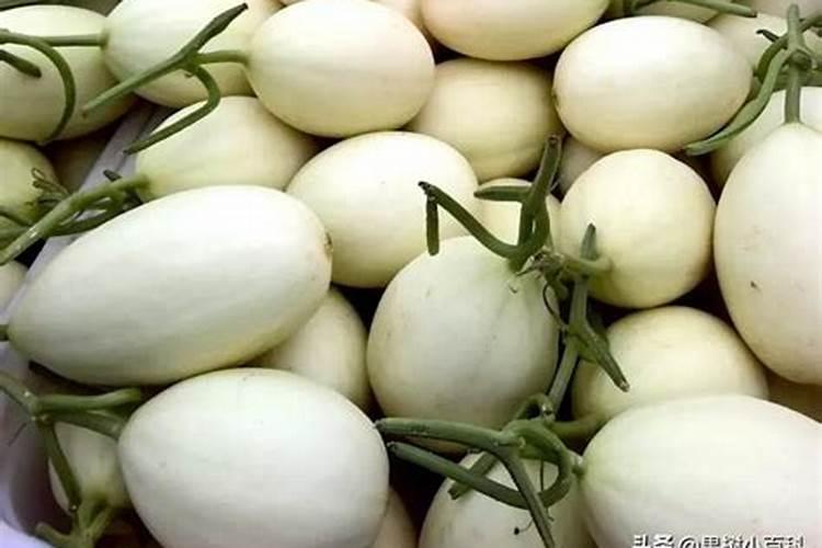 氯吡嘧磺隆对瓜蒌有影响吗