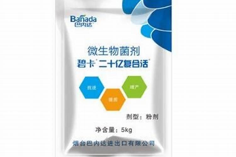 烟台龙普生物科技有限责任公司怎么样？
