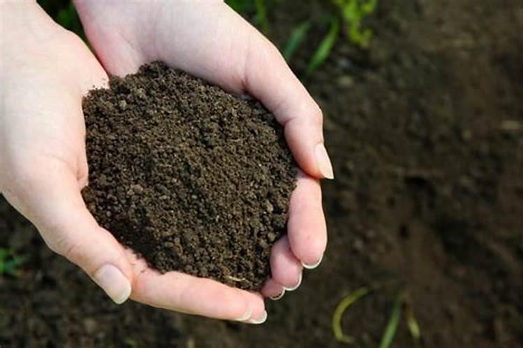 为什么黏质土施肥见效慢 而砂质土施肥见效快分别该如何施肥
