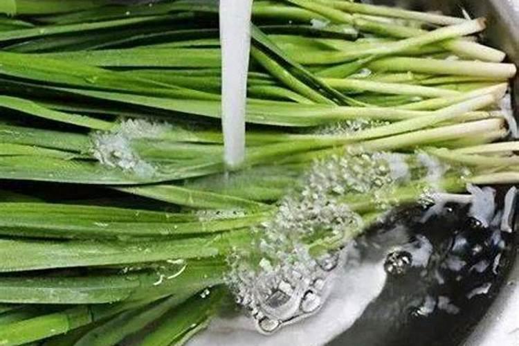 为何不建议肾病病人吃韭菜？