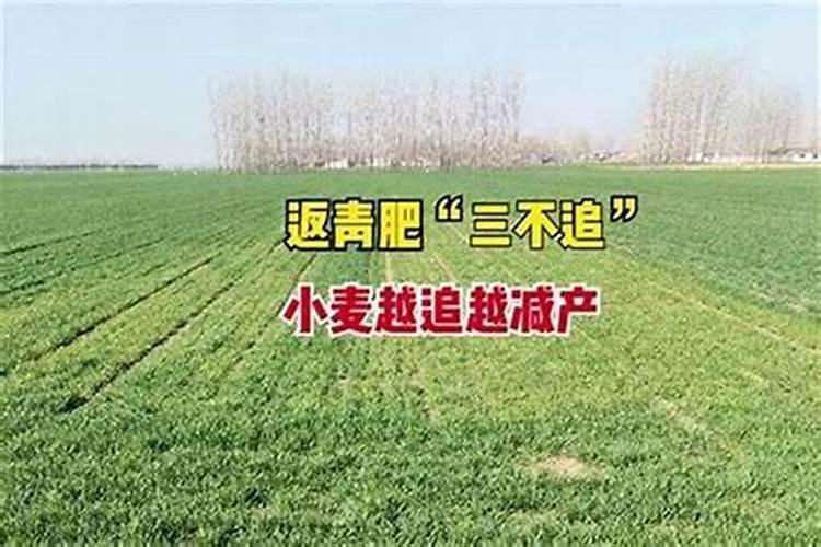 确定果树施肥量的方法有哪些