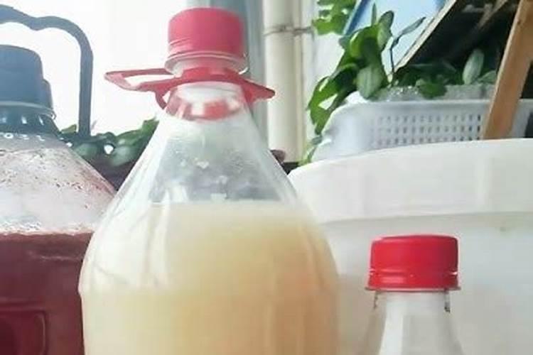 自制冲施肥配方分享 制作步骤须清楚