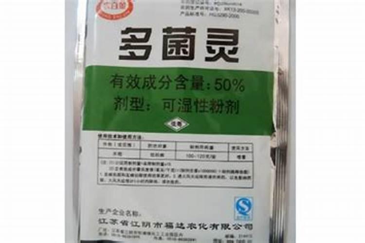 喷施什么叶面肥能促进枣树多开花,提高坐果率