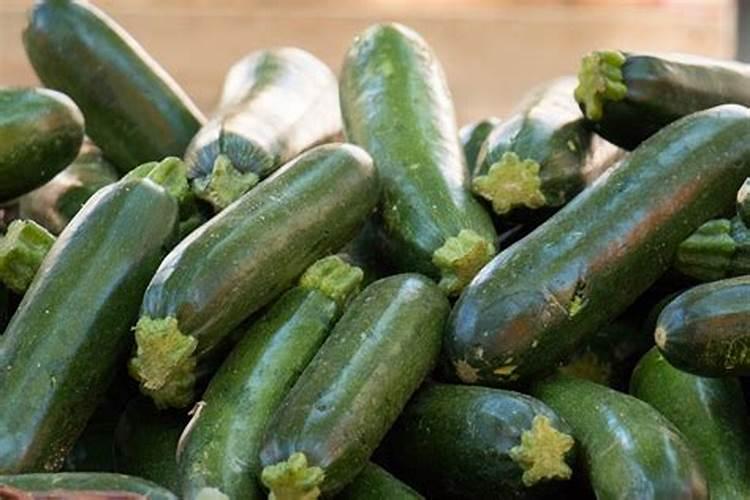 小瓜发黄长不大缺什么肥料