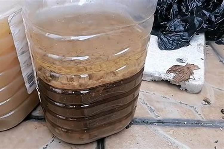 最方便的磷钾肥制作方法