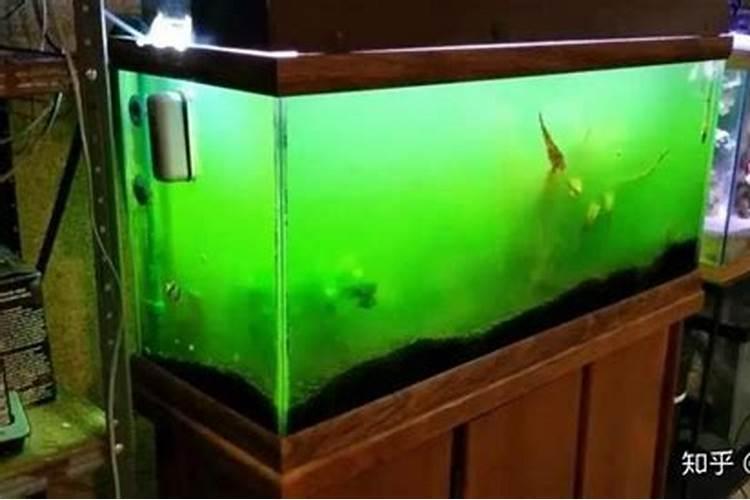 北方农村的小麦什么时间浇返青水最适宜？