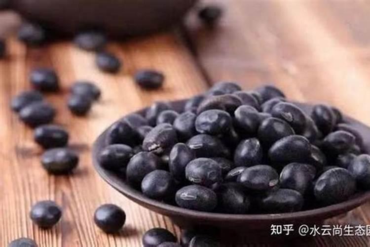 黑豆炒熟了多久才能给兰花用？