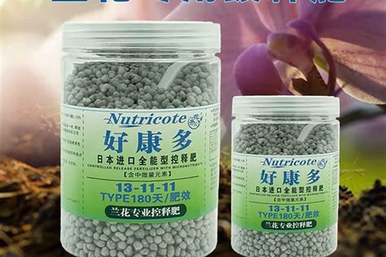 魔肥和好康多哪种好养兰花