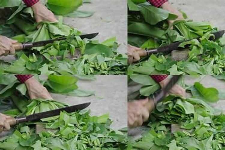 草地割下的草怎么处理