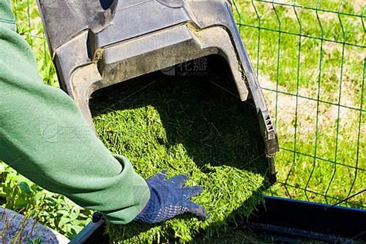 剪下来的草坪可以做肥料吗