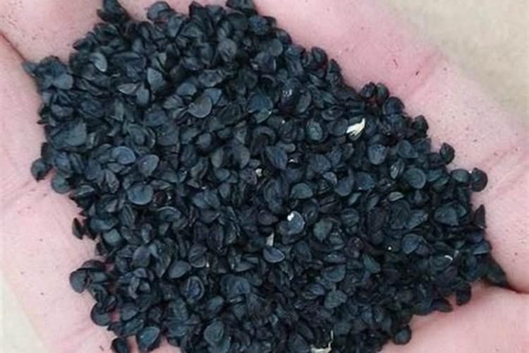 一斤草木灰顶多少钾肥