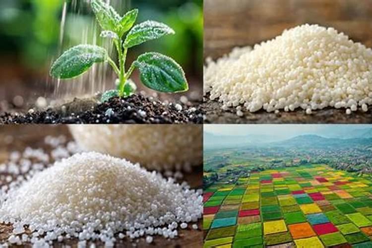 花菜怎样施肥长得好？种花菜用什么肥料能高产？