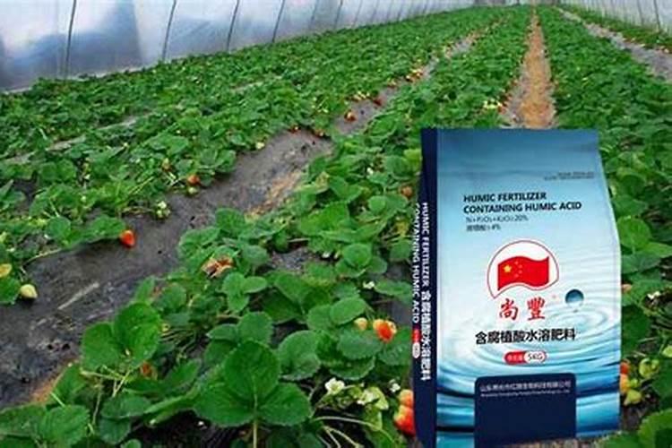 寿光米之霖农化有限公司企业简介