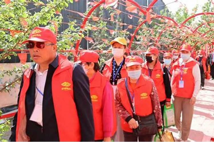 富硒肥料什么牌最好？