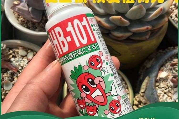 玉米7至11叶用什么叶面肥好