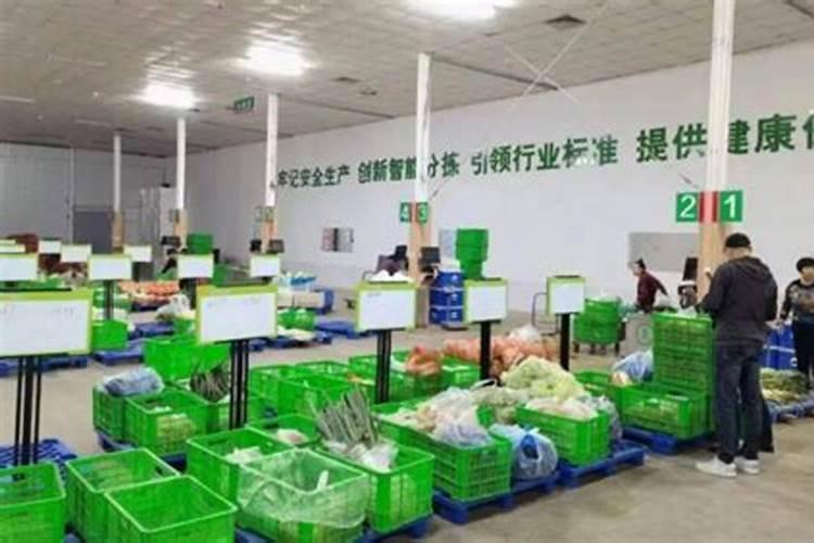 有人知道枣阳吗,帮我详细介绍下