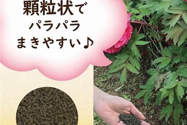 牡丹施肥用什么肥料合适,种植牡丹花四大高效肥料