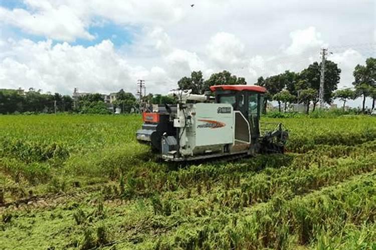 玉米田秸秆还田后,还用施钾肥吗？？？