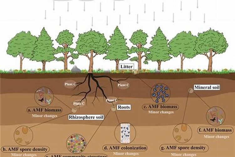 氮磷钾施肥过量,会有什么危害？