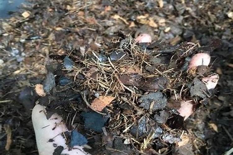 落叶直接埋土里能做肥料吗 树叶如何发酵做成养花肥料