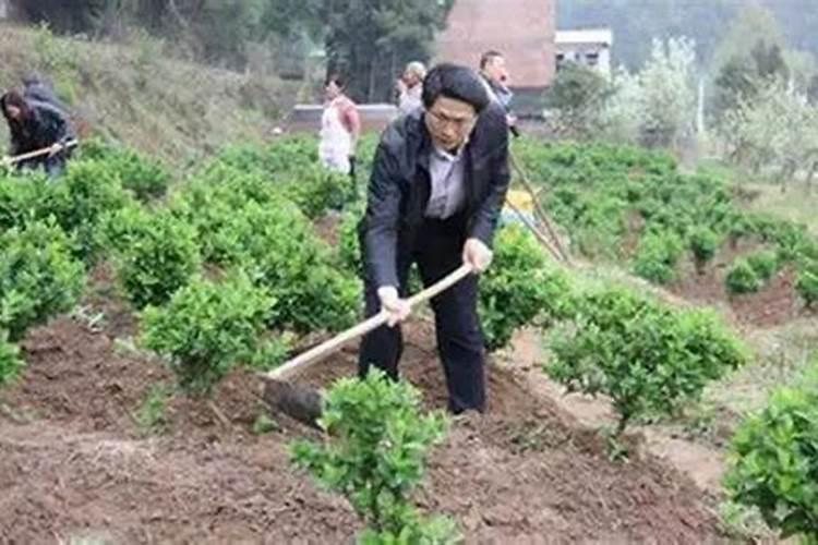 鱼塘放磷肥每亩用多少