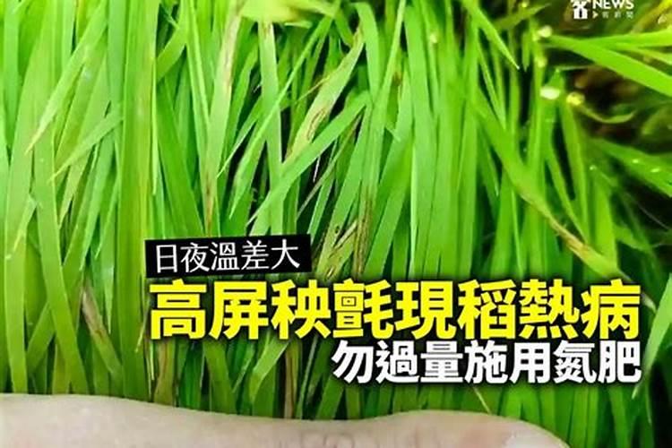 巴斯夫在中国的分公司