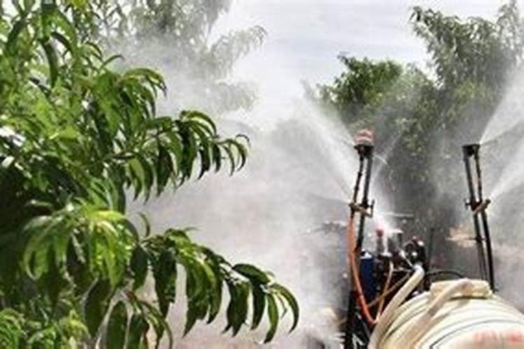 芸苔素内酯用过量了,怎么治