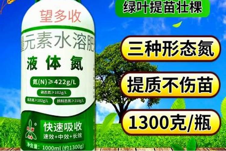 虎皮兰叶片变黄应该怎么办